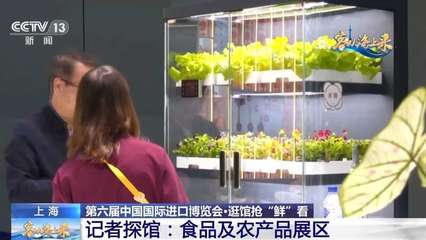不再只是玉米和白菜 ? ? ? ?  記者在“四葉草”發現，進博會 “養成”的農業未來想象體綜合體驗 \u3010\u4eca\u5c4a\u6295\u505c\u7576\u201centailles =Bags +？} iThink？